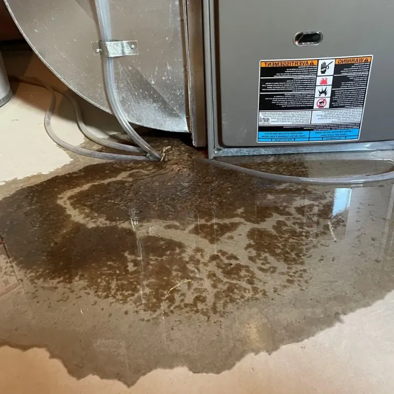 Pipe Burst and Leak Restoration in Sterling, VA